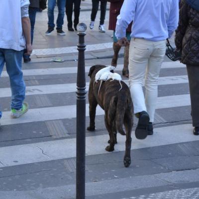 PROMENADES DANS PARIS EN 2013