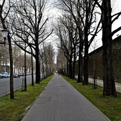 PROMENADES DANS PARIS EN 2015